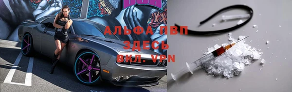 стафф Алексин