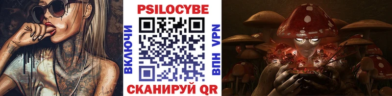 Псилоцибиновые грибы Psilocybine cubensis  Апрелевка 